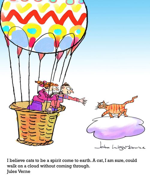 "I believe cats to be a spirit come to earth. A cat, I am sure, could walk on a cloud without coming through." - Jules Verne
