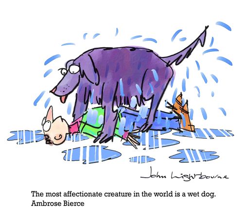 "The most affectionate creature in the world is a wet dog." - Ambrose Bierce