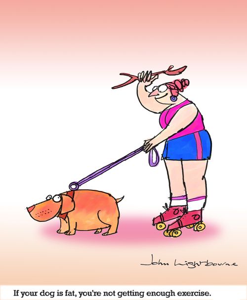 If your dog is fat, you're not getting enough exercise.