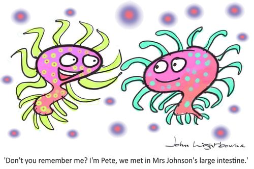 "Don't you remember me? I'm Pete, we met in Mrs Johnson's large intestine."