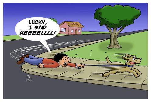 "Lucky, I Said Heel!"