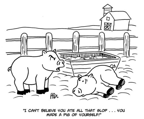 "I can't believe you ate all that soup...you made a pig of yourself!"