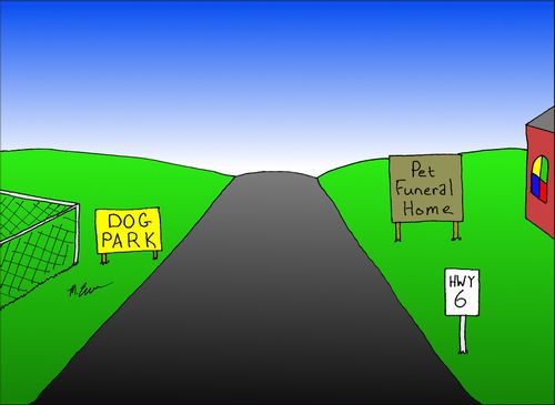 Dog Park and Pet Funeral Home.