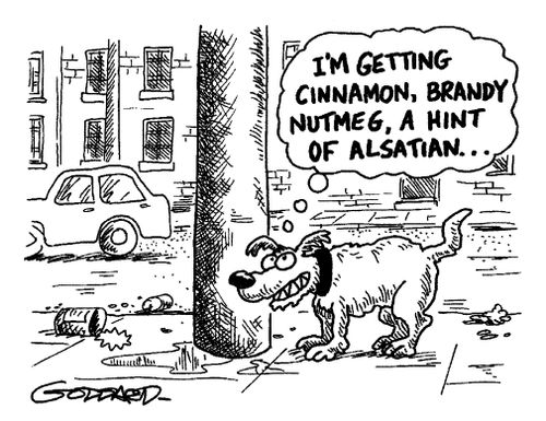 'I'm getting cinnamon, brandy nutmeg, a hint of alsation...'