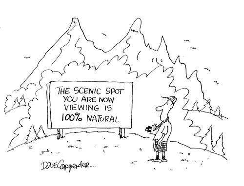 The scenic spot you are now viewing is 100% natural.