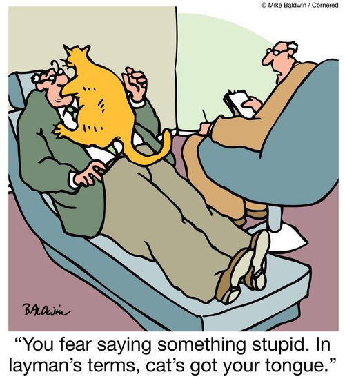 "You fear saying something stupid. In layman's terms, cat's got your tongue."