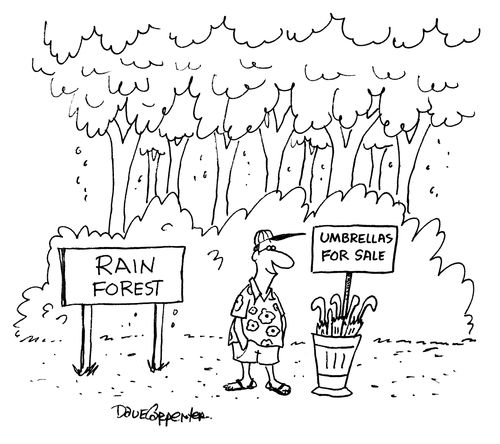 'A salesman is selling umbrellas in a rainforest.'