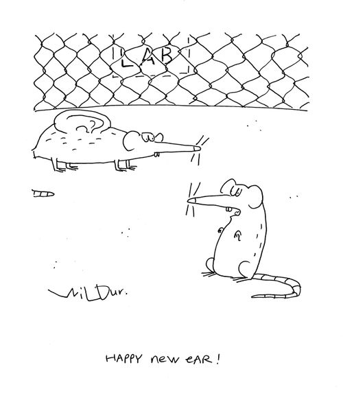 'Happy New Ear!'