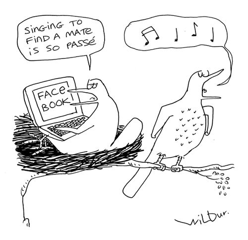 'Singing to find a mate is so passe.'