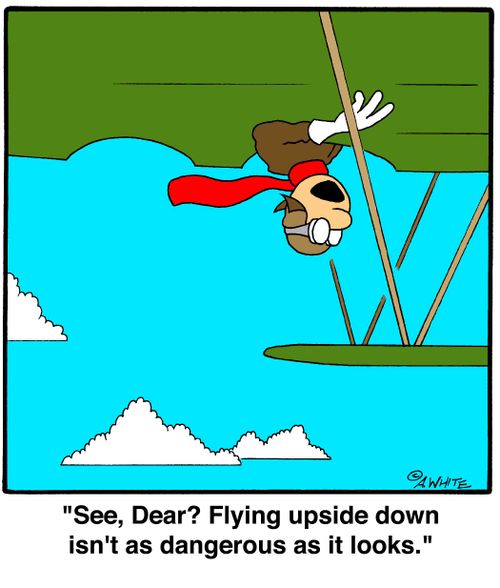 'See, Dear? Flying upside down isn't as dangerous as it looks.'