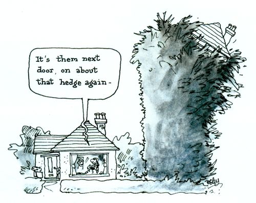 'It's them next door, on about that hedge again.'