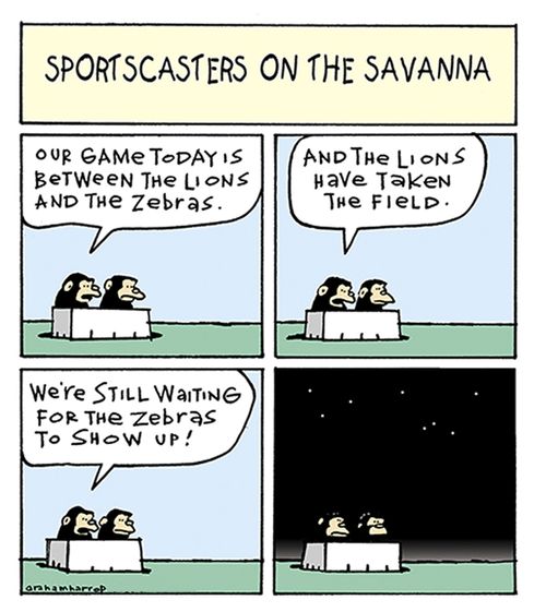 Sportscasters on the Savannah