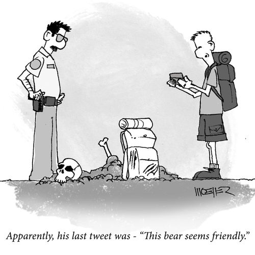 'Apparently, his last tweet was - 'This bear seems friendly.''