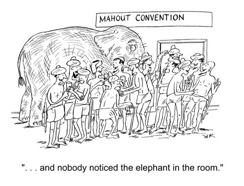 '. . . and nobody noticed the elephant in the room.'