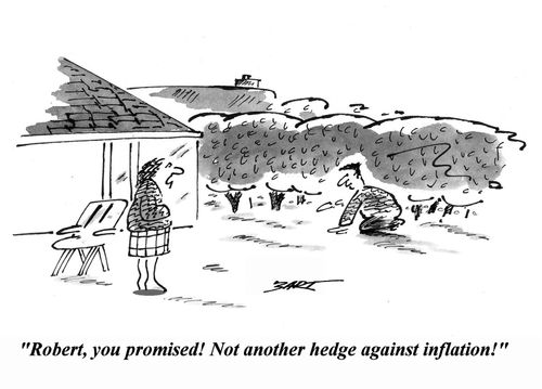 'Robert, you promised! Not another hedge against inflation!'