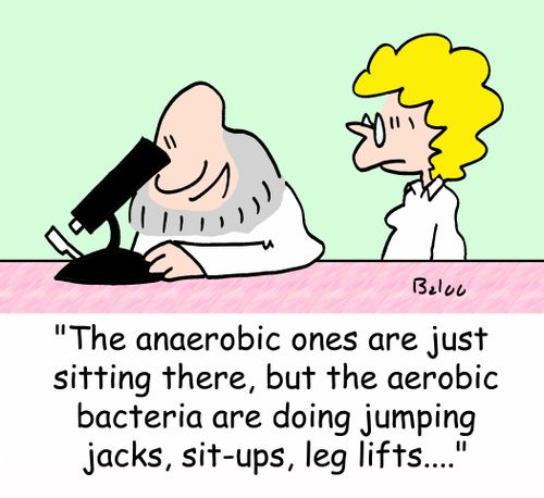 'The anaerobic ones are just sitting there, but the aerobic bacteria are doing jumping jacks, sit-up, leg lifts....'
