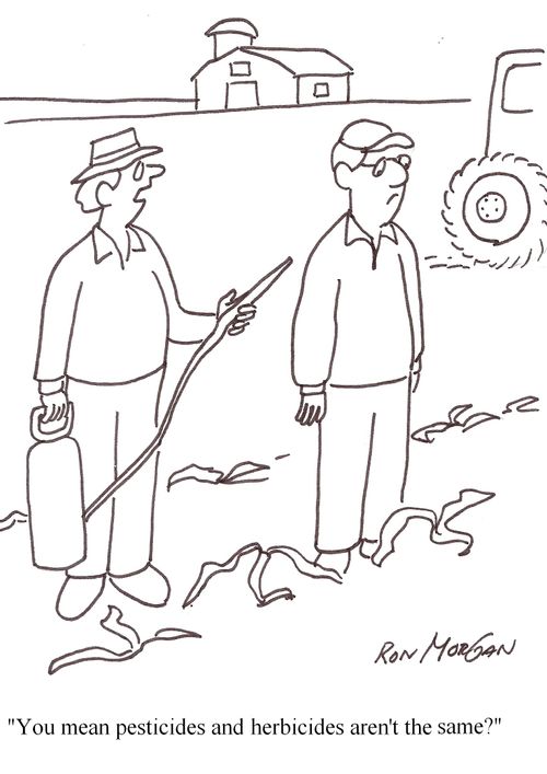 "You mean pesticides and herbicides aren't the same?"