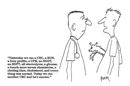 'Yesterday we ran a CBC, a BUN, a liver profile...