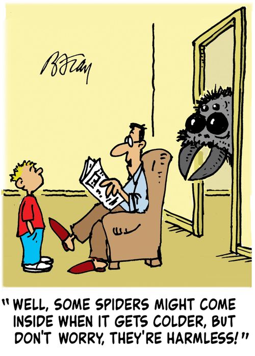 'Well, some spiders might come inside when it gets colder, but don't worry, they're harmless!'