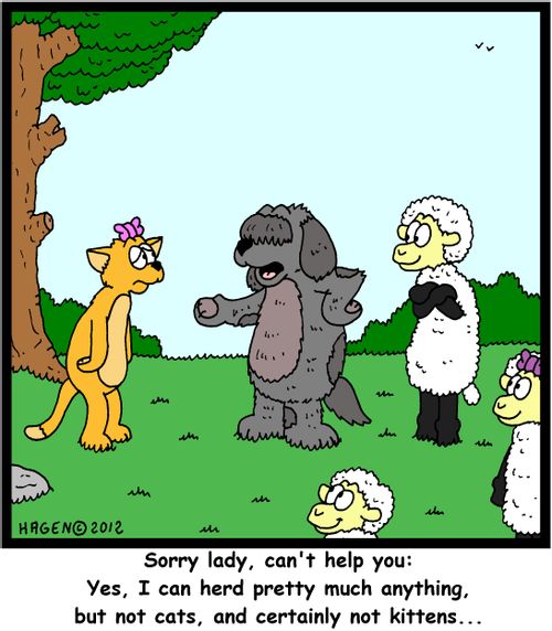 'Sorry lady, can't help you: Yes, I can herd pretty much anything, but not cats, and certainly not kittens...'