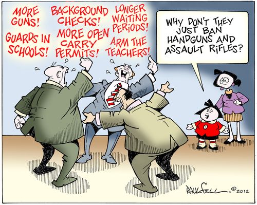 'Why don't they just ban handguns and assault rifles?'