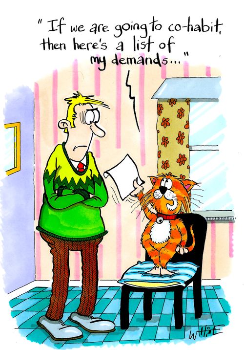 "If we are going to co-habit, then this is a list of my demands."
