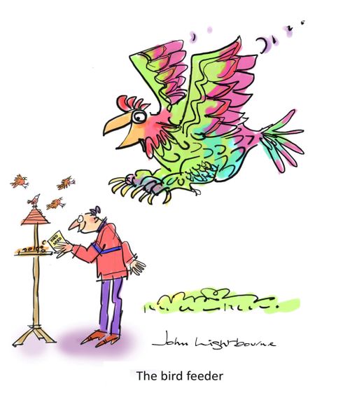 The bird feeder.