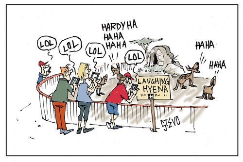 Laughing Hyenas