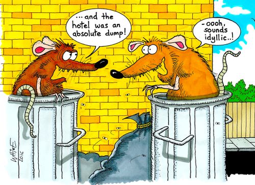 '...And the hotel was an absolute dump!'
