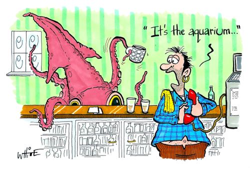 'It's the aquarium...'