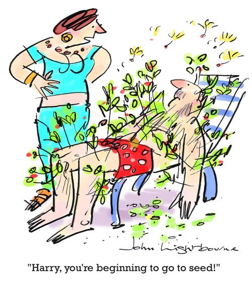 "Harry, you're beginning to go to seed!"