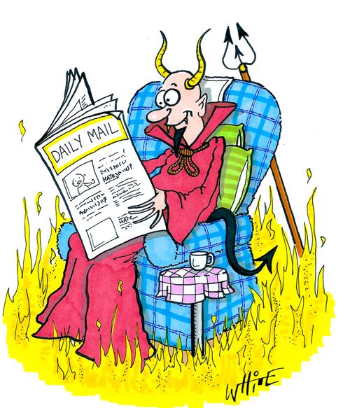 Daily Mail Reader