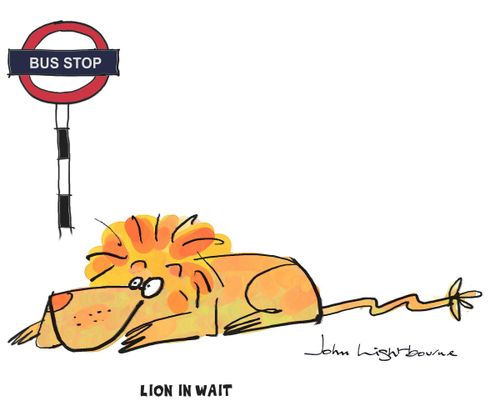 Lion in Wait