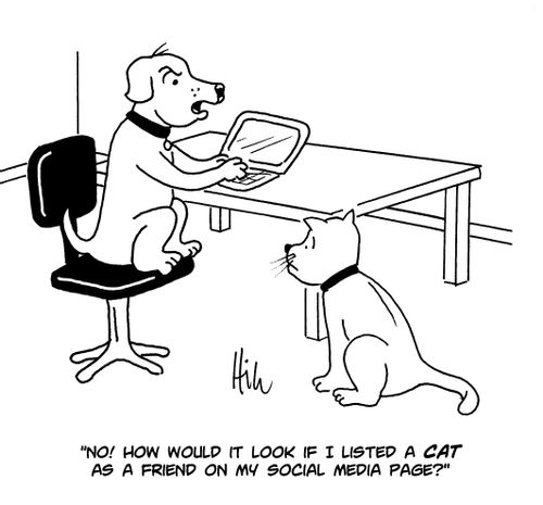 "No! How would it look if I listed a CAT as a friend on my social media page?"