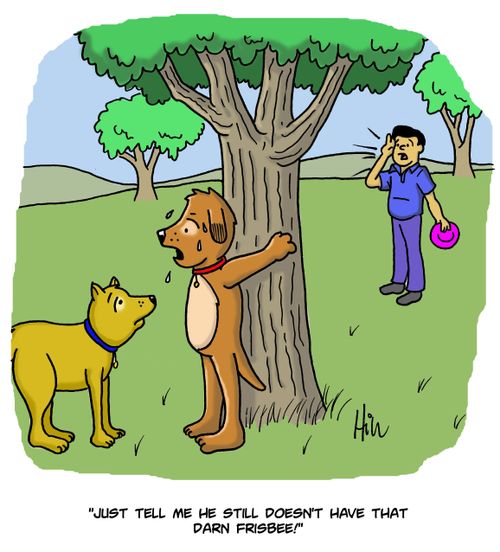 "Just tell me he still doesn't have that darn frisbee!"
