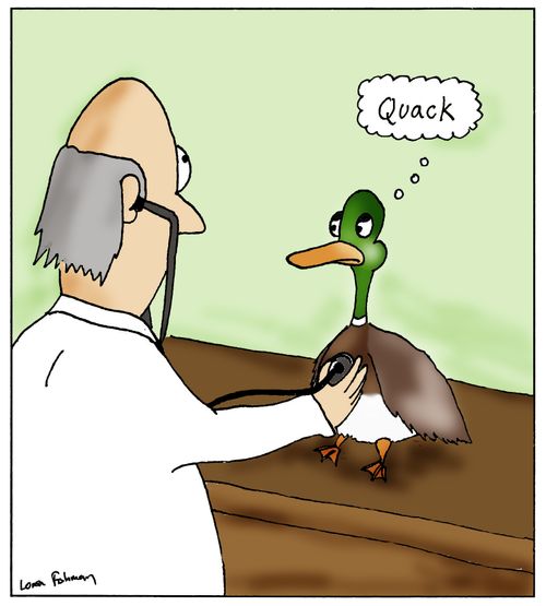 'Quack'