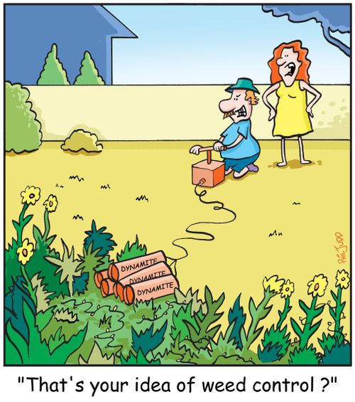 'That's your idea of weed control?'