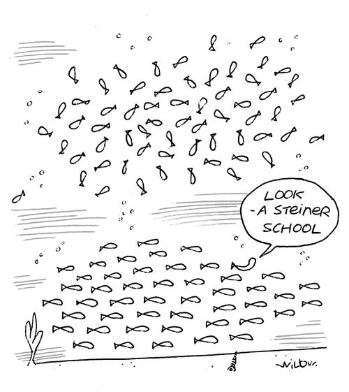 'Look - a Steiner school.'