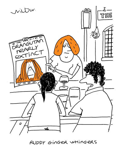 Ruddy Ginger Whingers.
