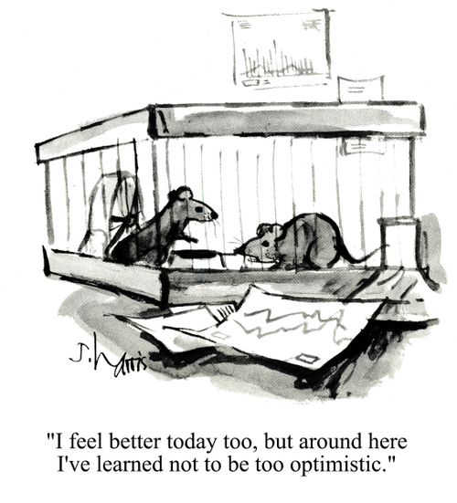 'I feel better today too, but around here I've learned not to be too optimistic.'