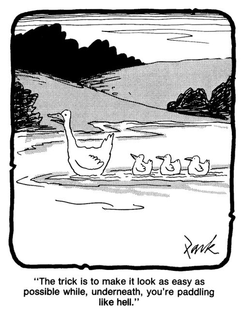 'The trick is to make it look as easy as possible while, underneath, you're paddling like hell.'