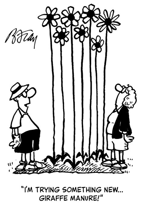 'I,m trying something new...giraffe manure!'