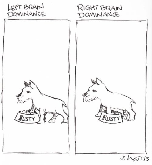 'Left brain dominance -  'Right brain dominance'