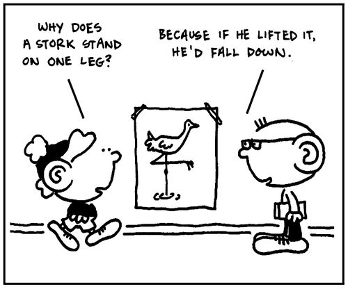 'Why does a stork stand on one leg?'