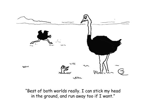 'Best of both worlds really. I can stick my head in the ground, and run away if I want.'