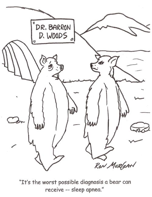 'It's the worst possible diagnosis a bear can receive -- sleep apnea.'