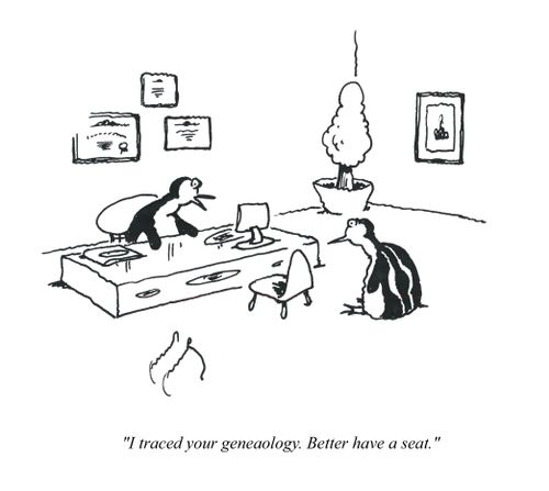 'I traced your genealogy. Better have a seat.'