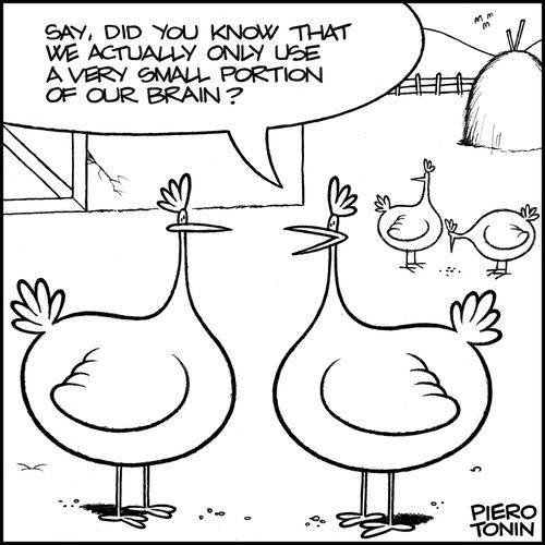 'Say, did you know that we actually only use a very small portion of our brain?'
