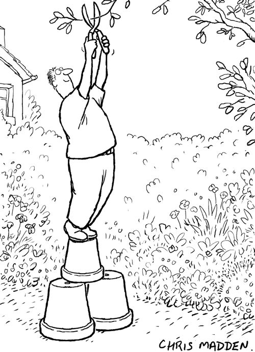Using plant pots to reach inaccessible object