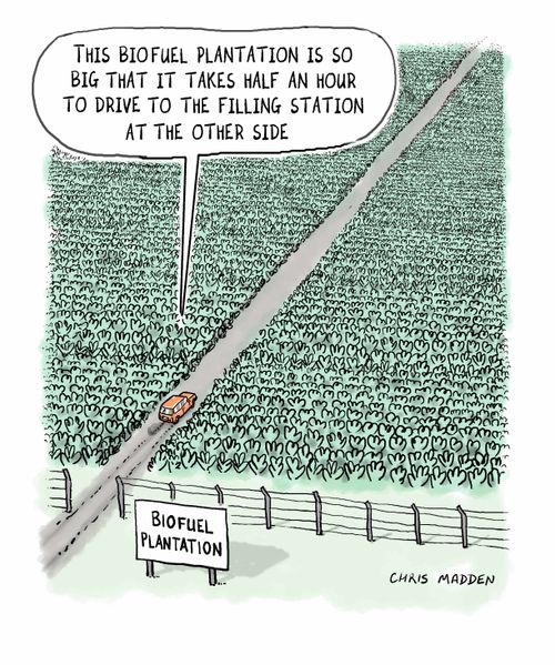 The problem with biofuel - it takes up too much space